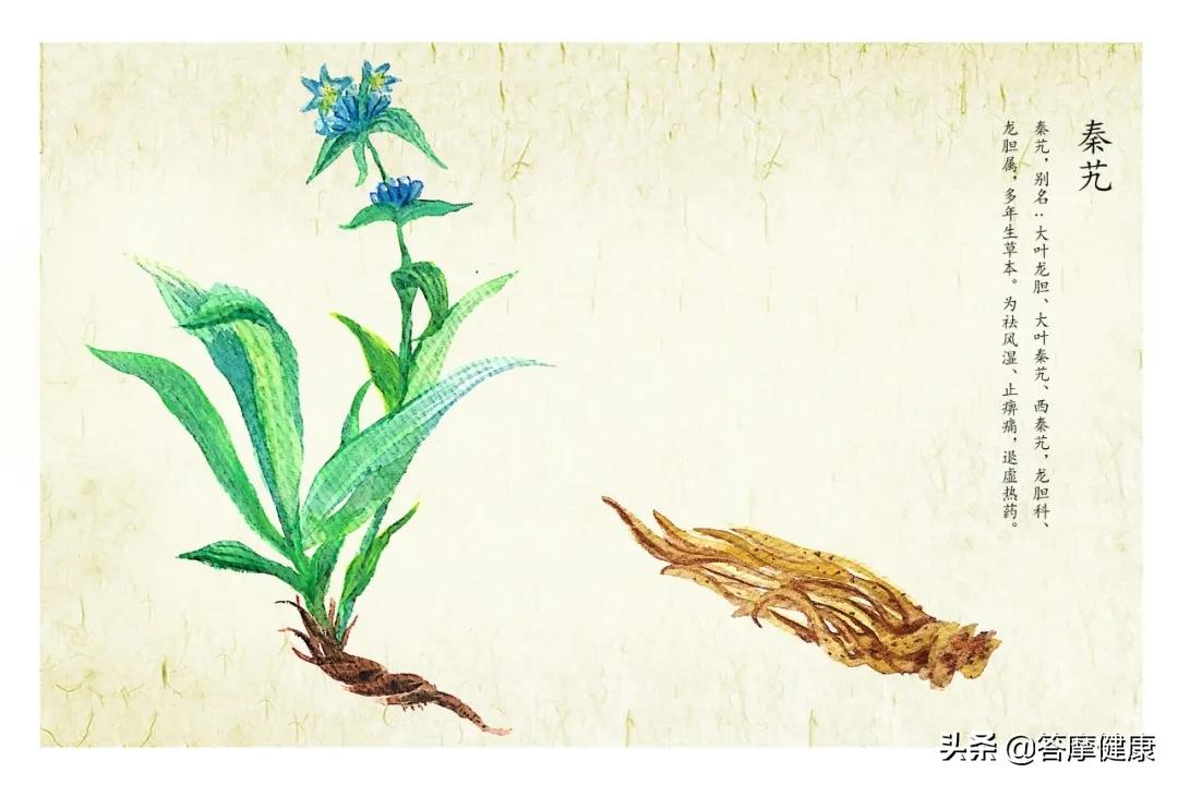 湿疹、犯困…折磨人的「湿邪」到底是什么？怎么辨？怎么治？