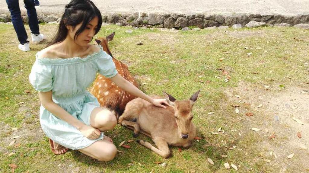 不一样的体验完整版,不一样的体验小说后续