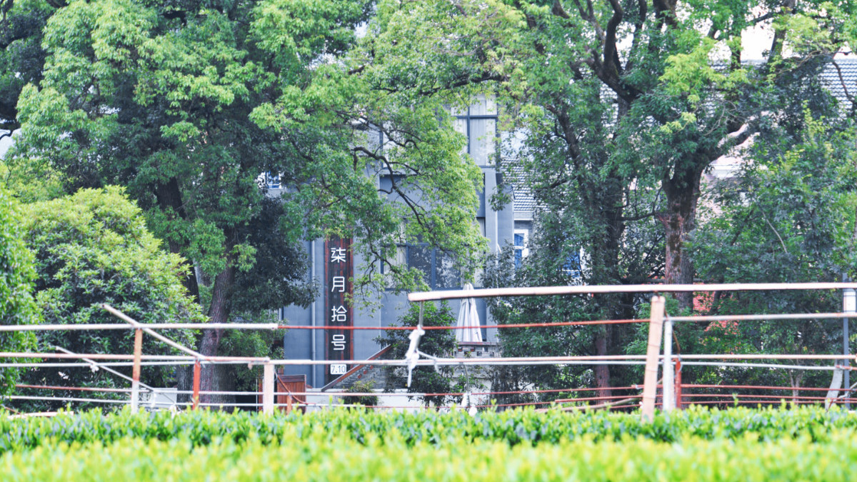 宅家美文100篇,宅家日记岁月静好