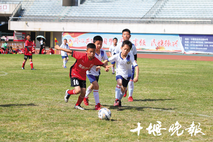 十堰人锻炼健身的好去处,十堰体育馆收费标准