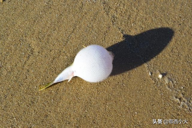 平潭祖国大陆离台湾最近的地方,福建和平潭岛一样漂亮的地方