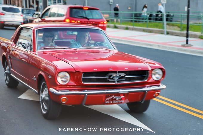 加拿大小众旅游目的地,加拿大纽芬兰自驾旅游