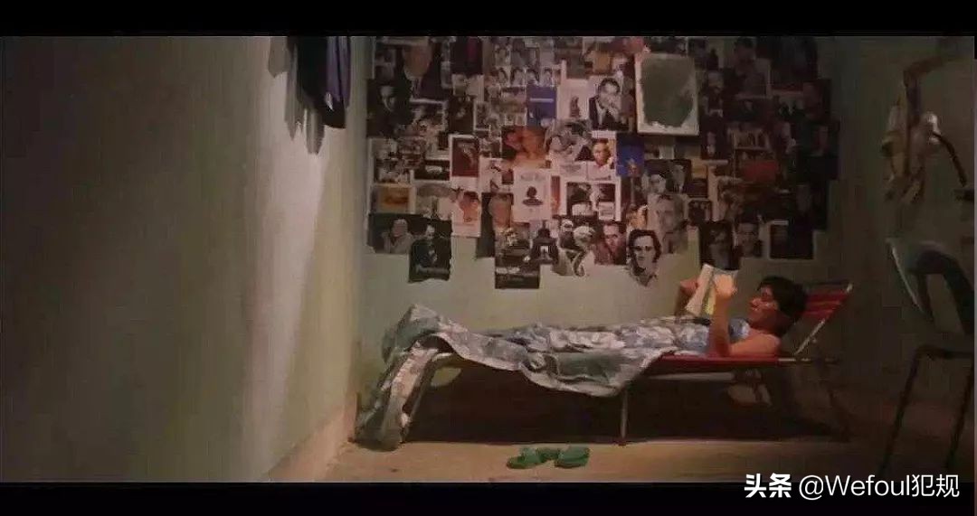 杨震足彩最新推荐,杨震足彩最新一期