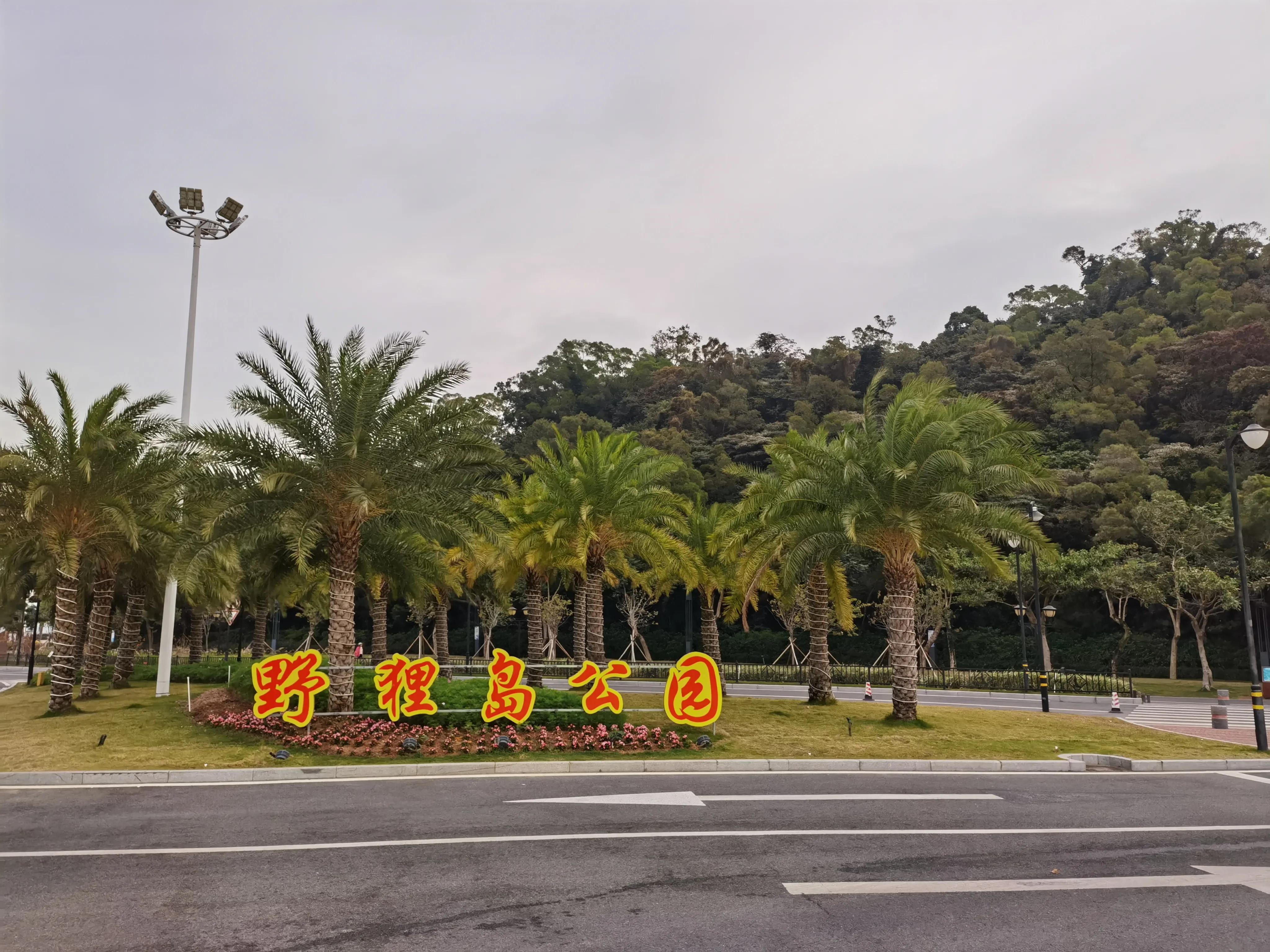 珠海淇澳岛红树林攻略,珠海桂山岛3天二夜的旅游攻略