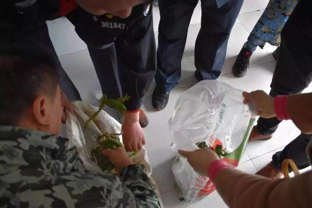 野生树蛙吃了犯法吗,吃树蛙判几年