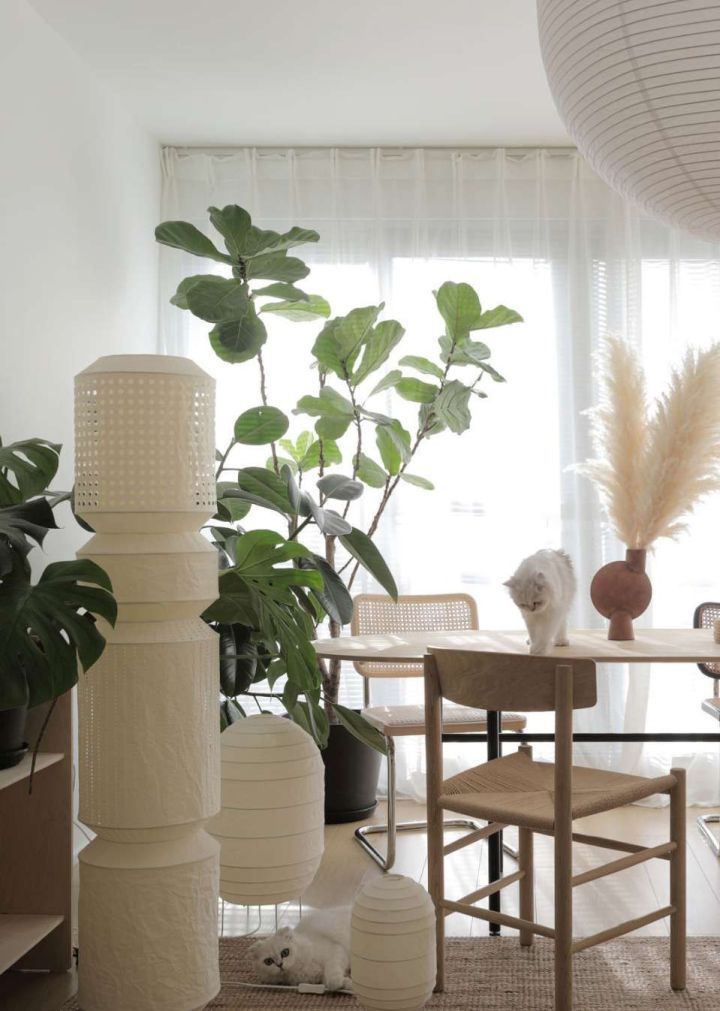 家庭灯光重要性,家庭装修灯光的五大布局