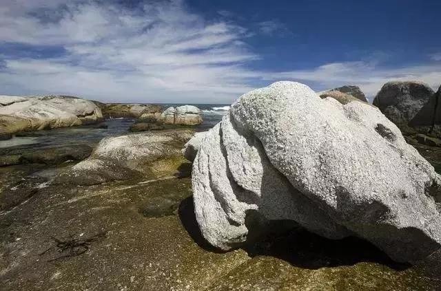 石头玉的鉴别,一块石头一块玉