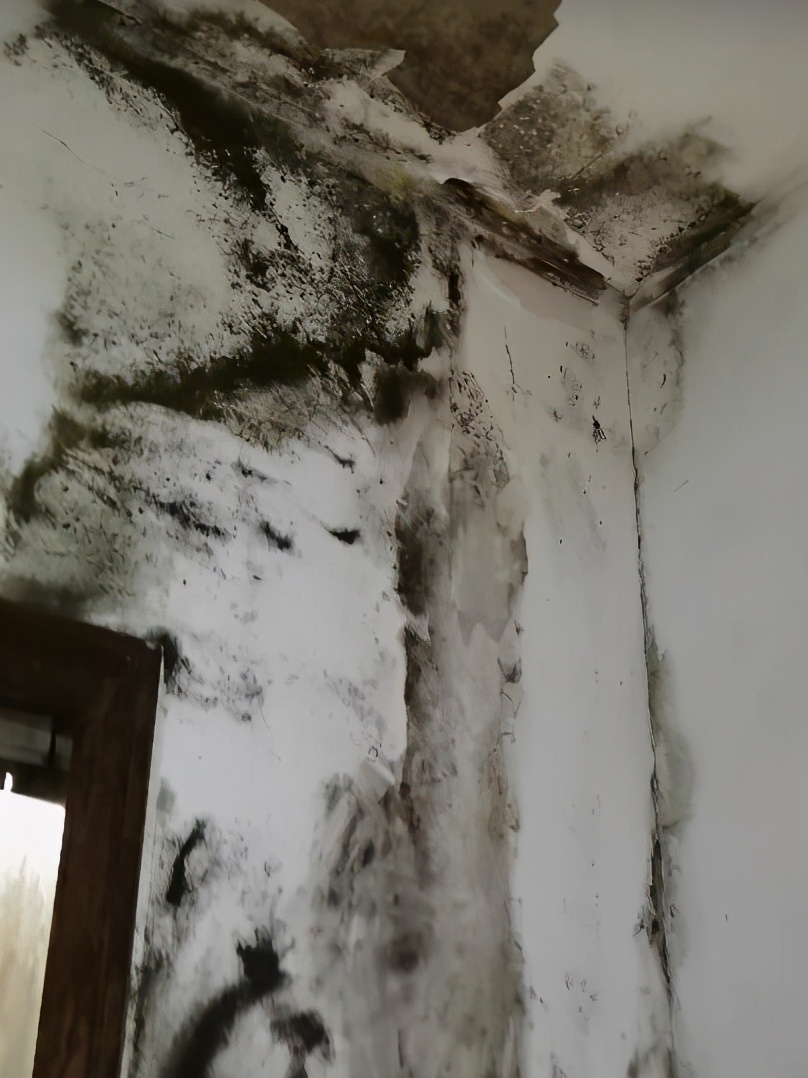 家里漏水是楼上的原因吗,家里漏水谁负责损失