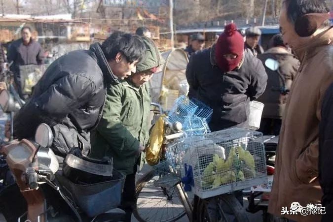 皇城根脚下，那是开封大爷遛鸟的天地