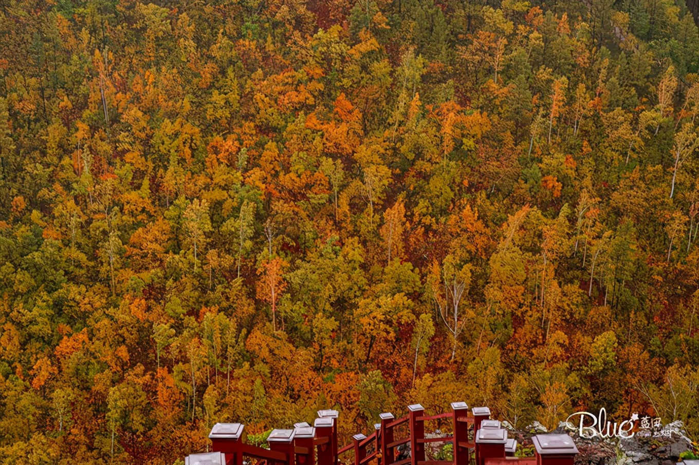 从漠河自驾到抚远镇,漠河至丹东自驾g331攻略