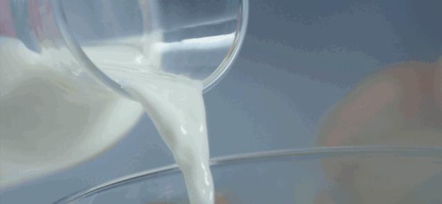 正宗芝士奶盖茶,原味芝士奶盖茶