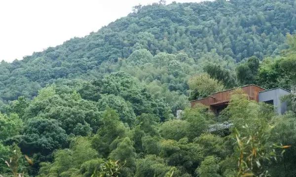 遗世独立的隐居酒店，大自然的馈赠——宁海安岚酒店