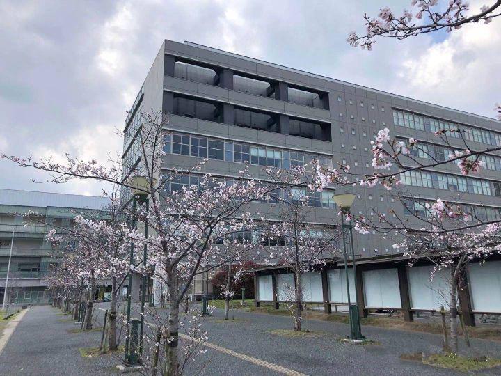 日本九州大学课程,日本九州大学怎么申请