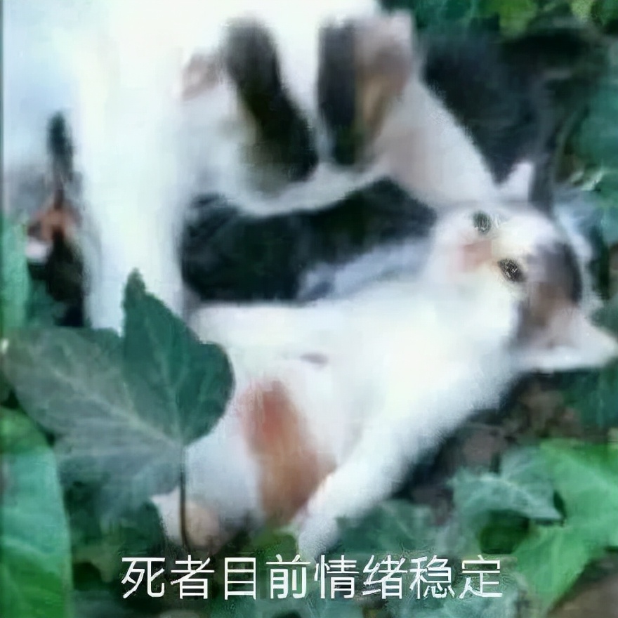 公关的101个误区,公关切忌重术轻道