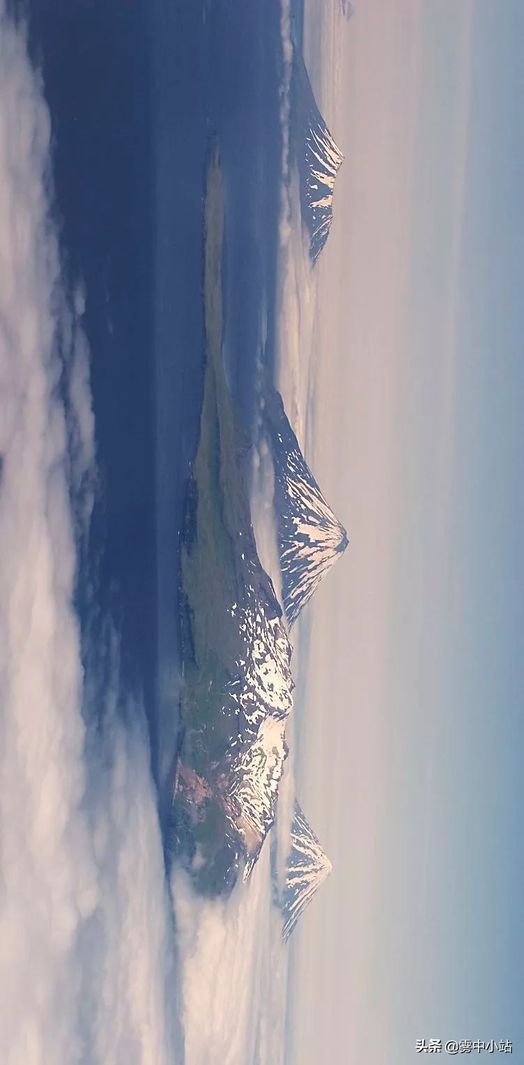 最便宜阿拉斯加多少钱,最便宜又大的阿拉斯加