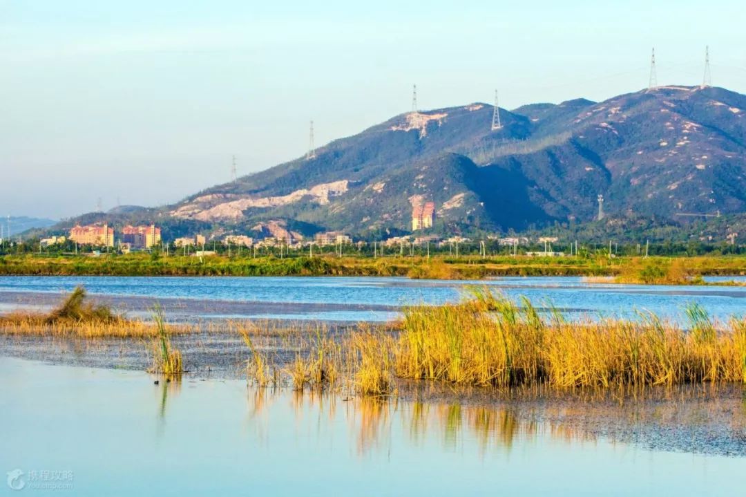 广东省哪个城市是潮汕人最多的,广州市哪个地方潮汕人最多