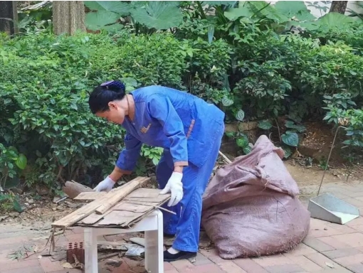 鍝佽川铚曞彉,鍝佽川铦跺彉