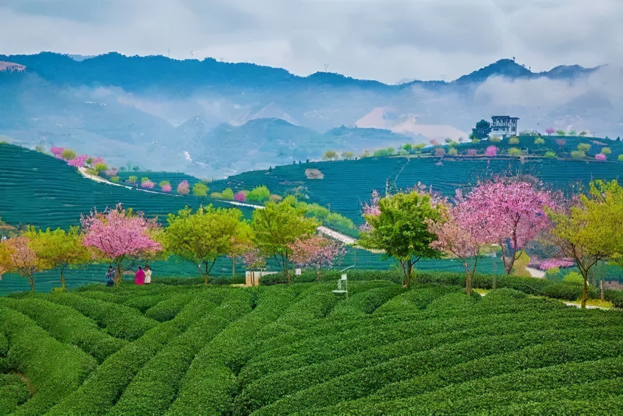 这份全国八大超美赏樱攻略,国内赏樱地盘点图片