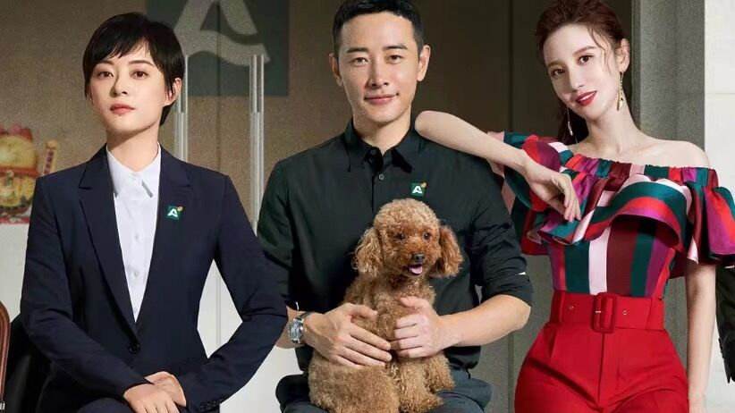 孙俪安家口碑两极分化,孙俪安家为什么火了