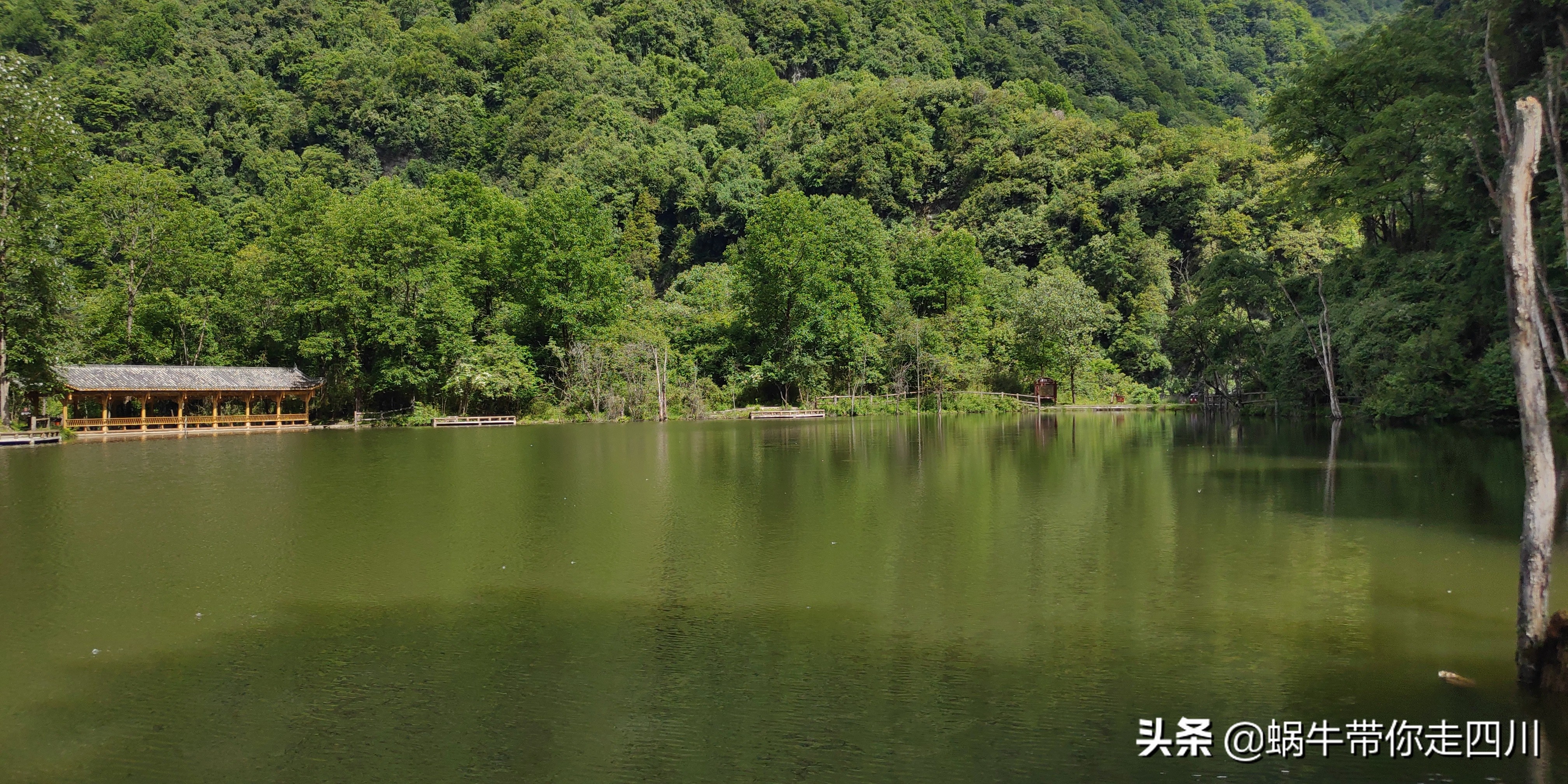 一家三口重庆到拉萨旅游攻略预算,一家三口成都去拉萨大概要多少钱