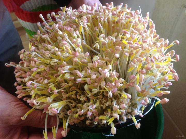 省钱技能有哪些,省钱却有用的技能