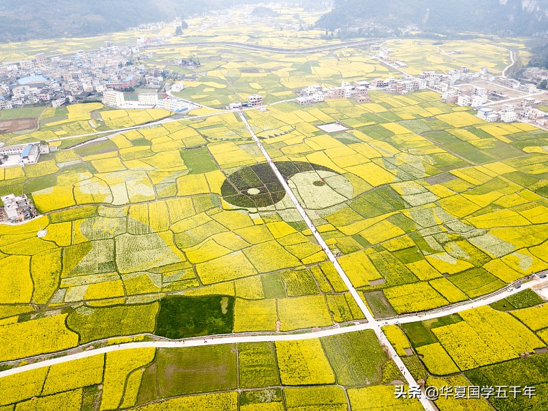 易经卜卦入门,易经卜卦怎么学习
