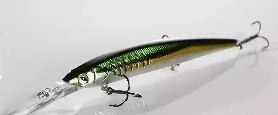 路亚是怎么钓鱼的,路亚新手入门教程路亚黑鱼