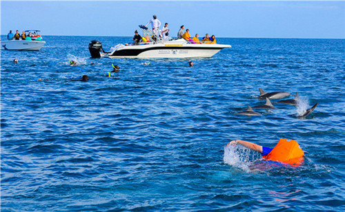 远离寒冷的冬季,告别冬天冷空气