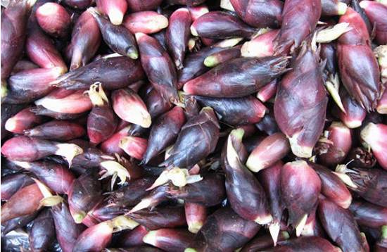 云南特产山货血三七,云南独有的44种野菜