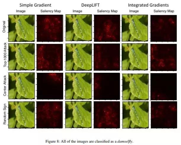 对于机器学习的理解,揭开大脑与教育的惊人真相