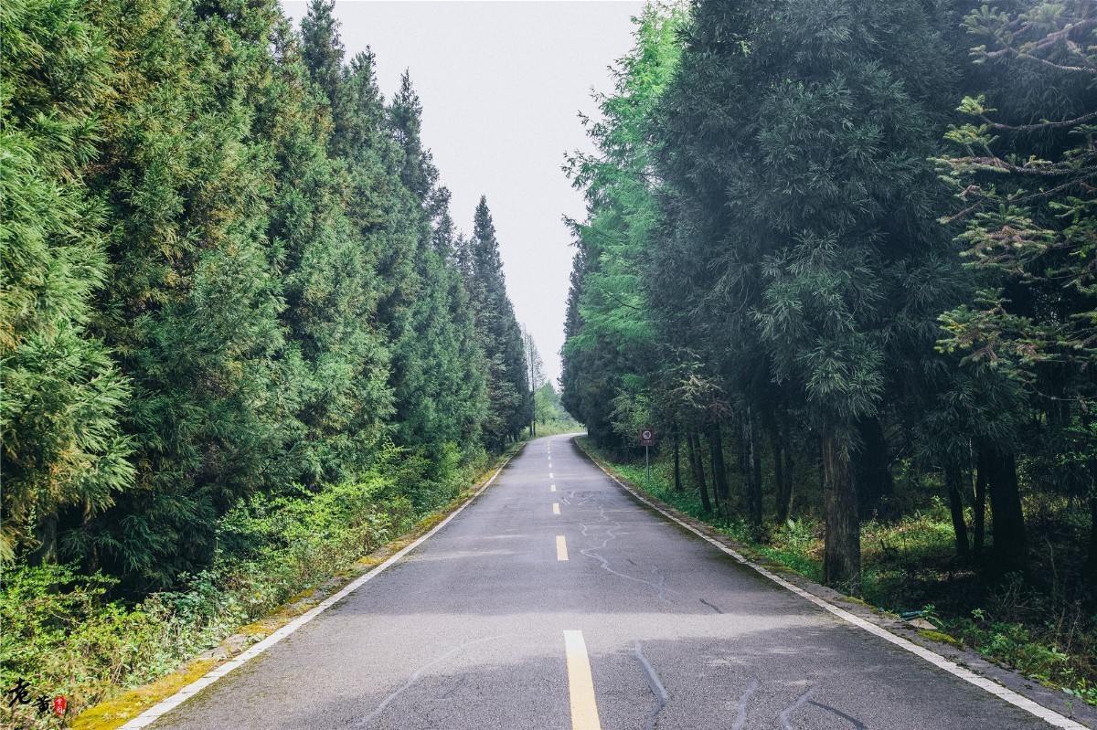 重庆森林拍摄打卡景点,秋冬石柱适合拍照的地方