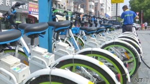 通州小绿车退费电话,通州区小绿车退款