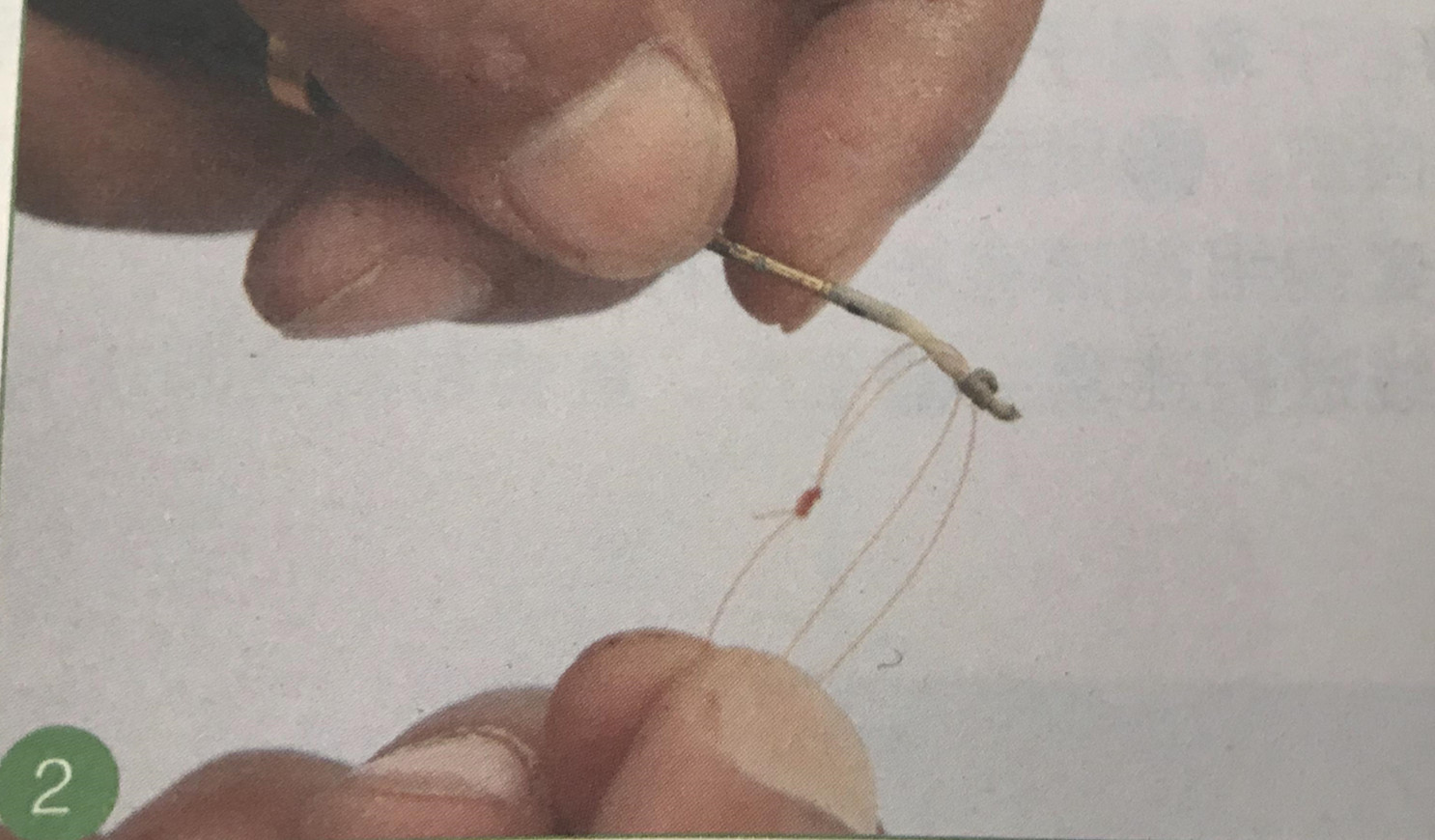 新手钓鱼鱼线和鱼竿怎么绑,初学鱼线全套绑法教程