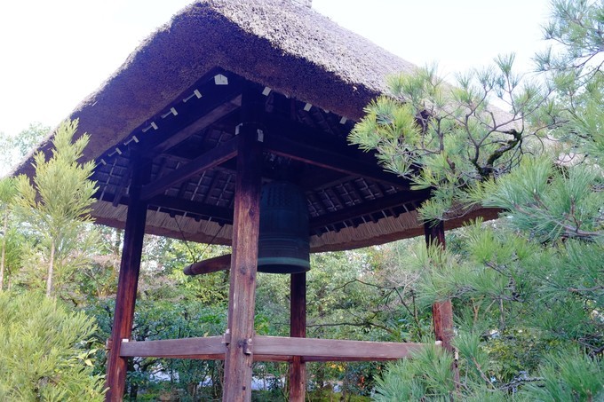 京都赏枫2022,京都赏枫必去景点有哪些好玩的