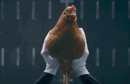 手机稳定器使用方法和技巧图文,手机稳定器用什么模式拍好