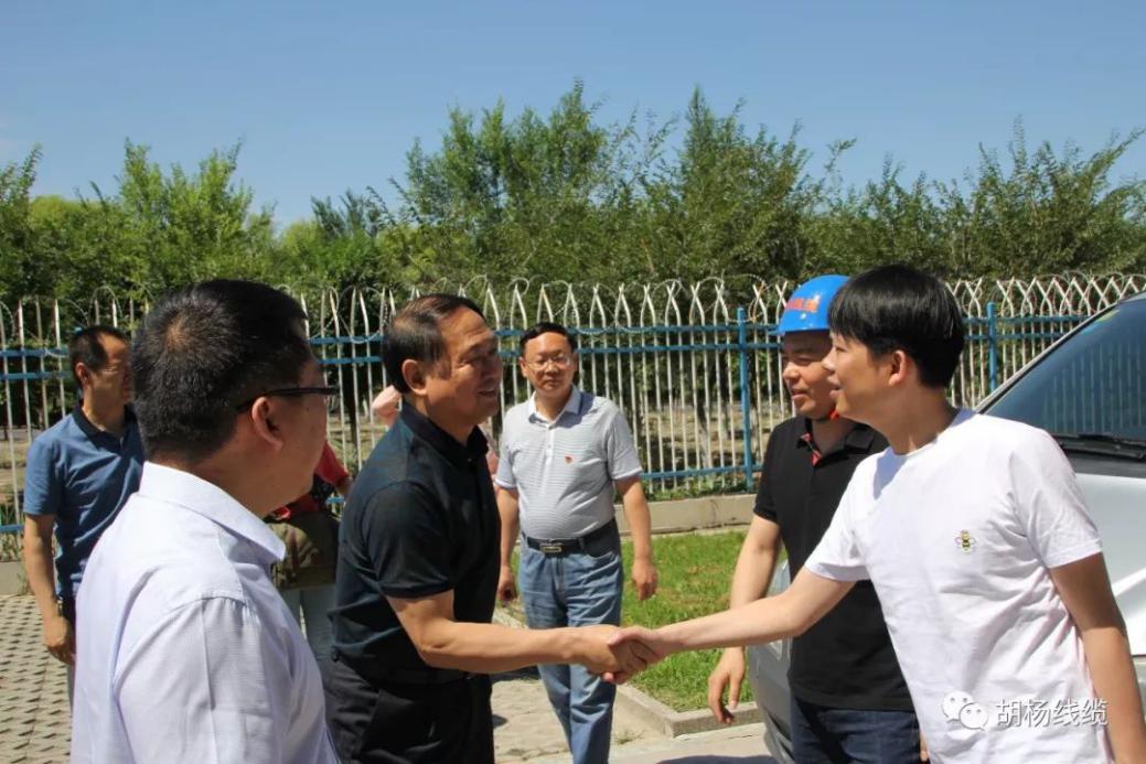 欢迎*疆新**自治区市场监督管理局领导莅临胡杨线缆公司交流学习