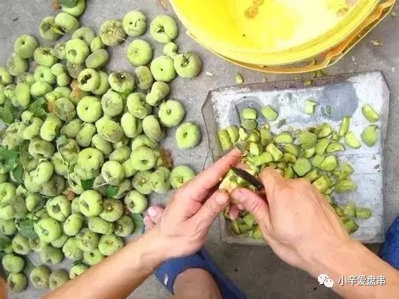 君子潜修己身是什么意思,君子慎独修己以安人全文