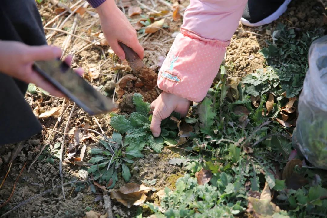 高密作协田野考察（三）乐者电子商务，迎乐科技发布