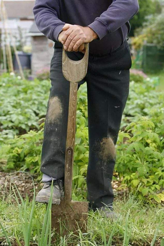 最常见的皮肤癣菌病是哪一种菌,孢子菌感染皮肤病怎样治疗