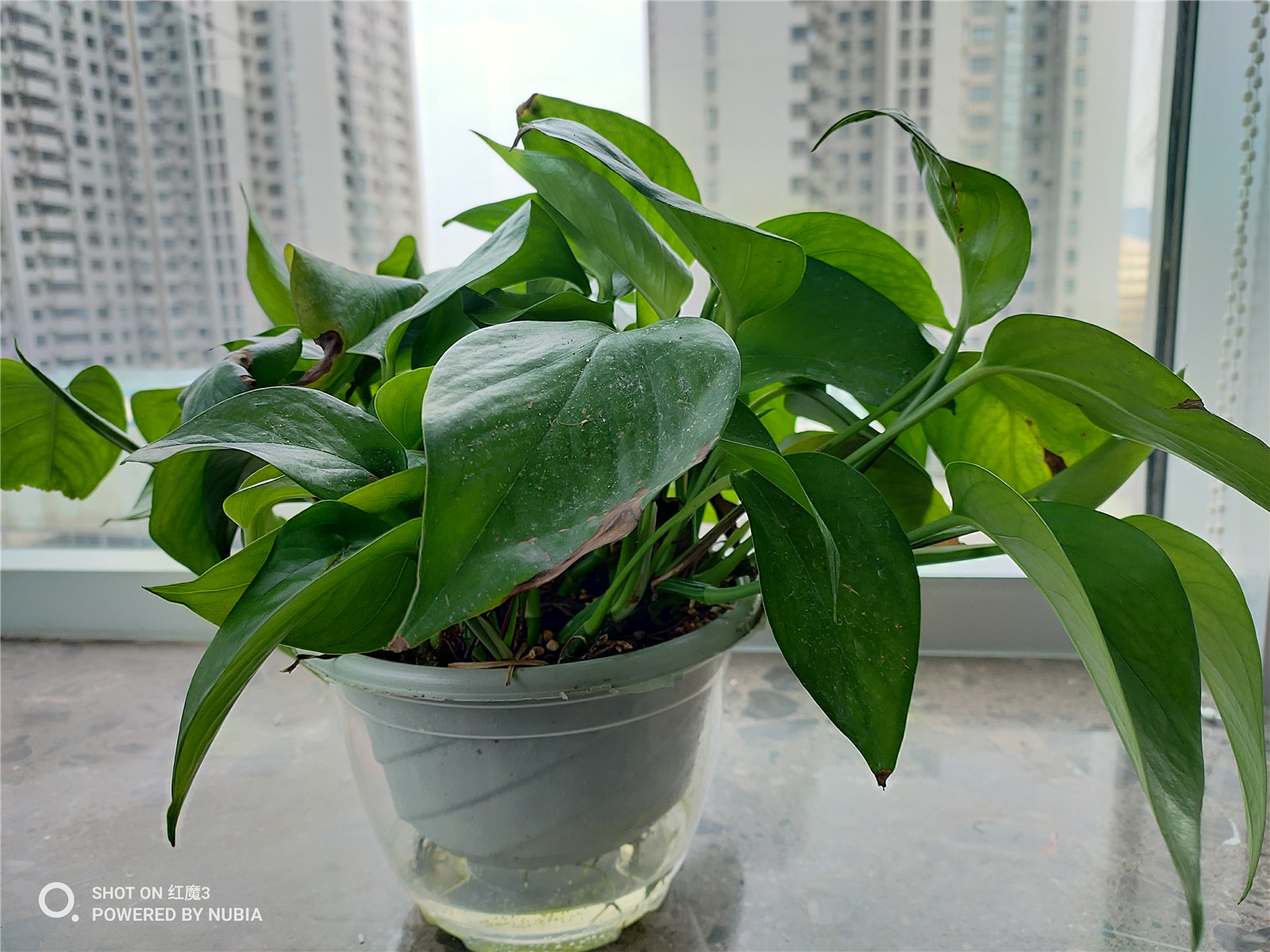 2899元起！红魔3评测：骁龙855+主动散热风扇