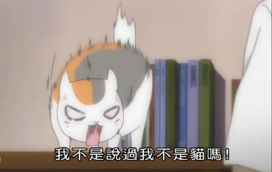 来了!我们的第3本科幻选集《猫不存在》