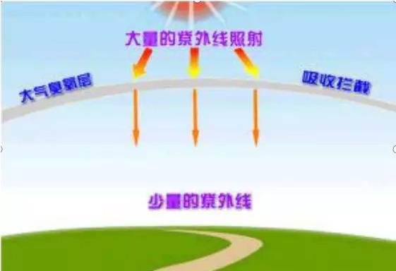 大自然的礼物868,大自然的礼物