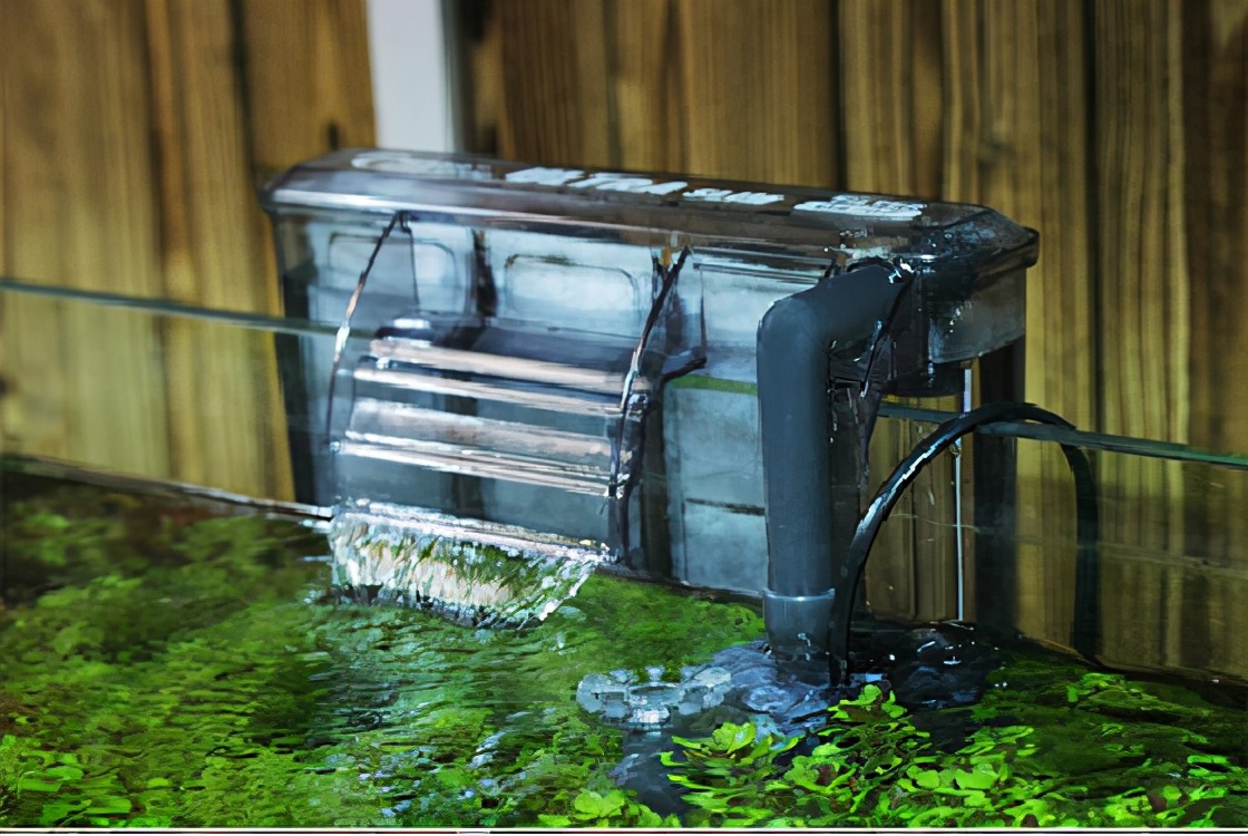 养鱼干货分享过滤系统的重要性,养鱼最佳的过滤方法