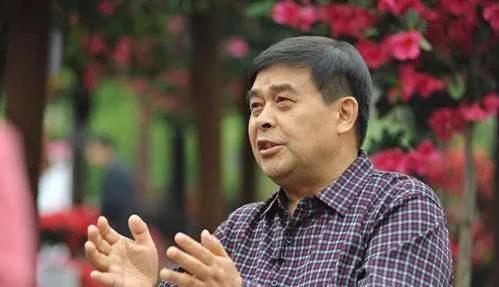 五月花新希望,五月花希望