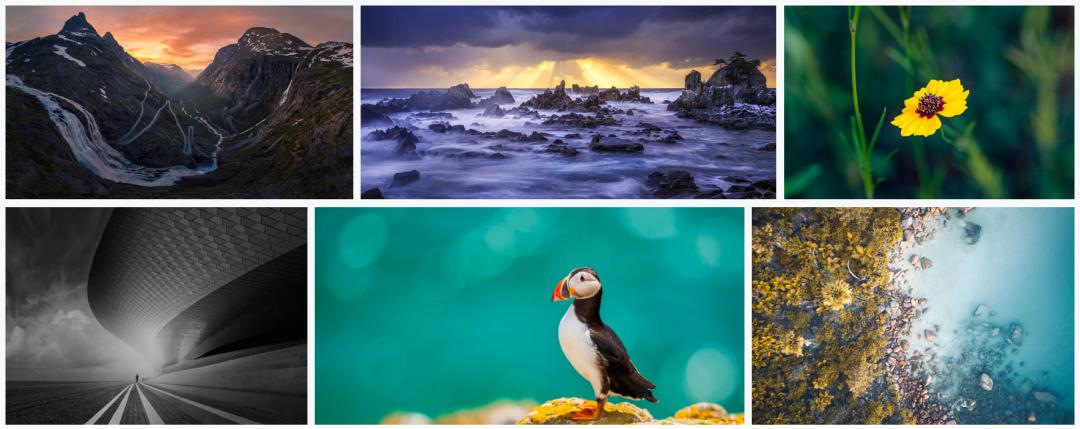 璇捐揪,璇捐揪鑹烘湳