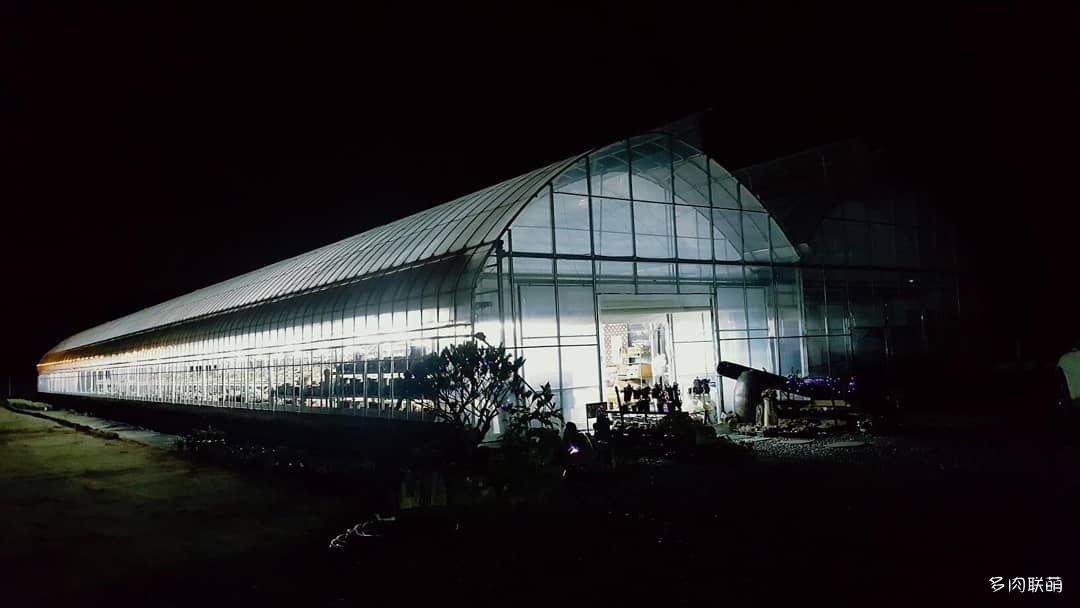 韩国大棚多肉,肉叔带你走遍韩国多肉大棚