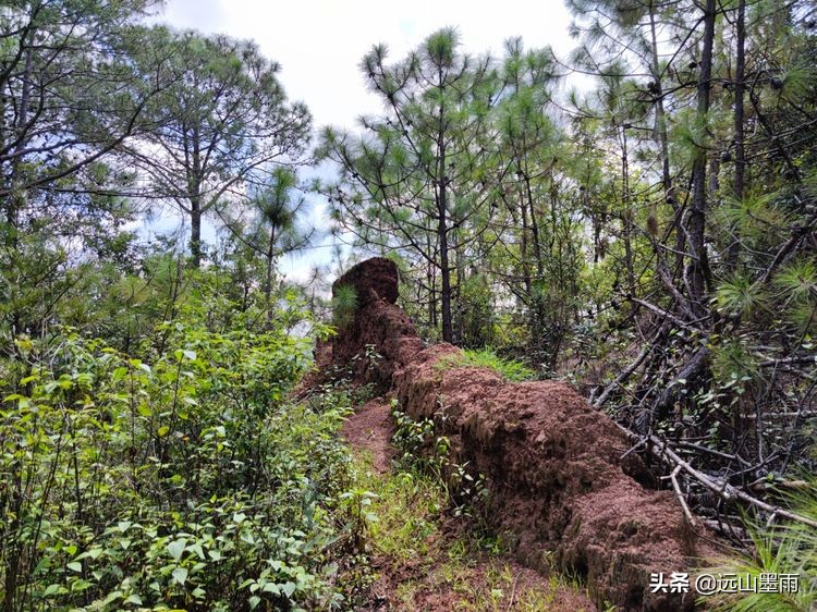 徒步寻访滇西大马路、走“九关十八铺”系列活动之四：回蹬关
