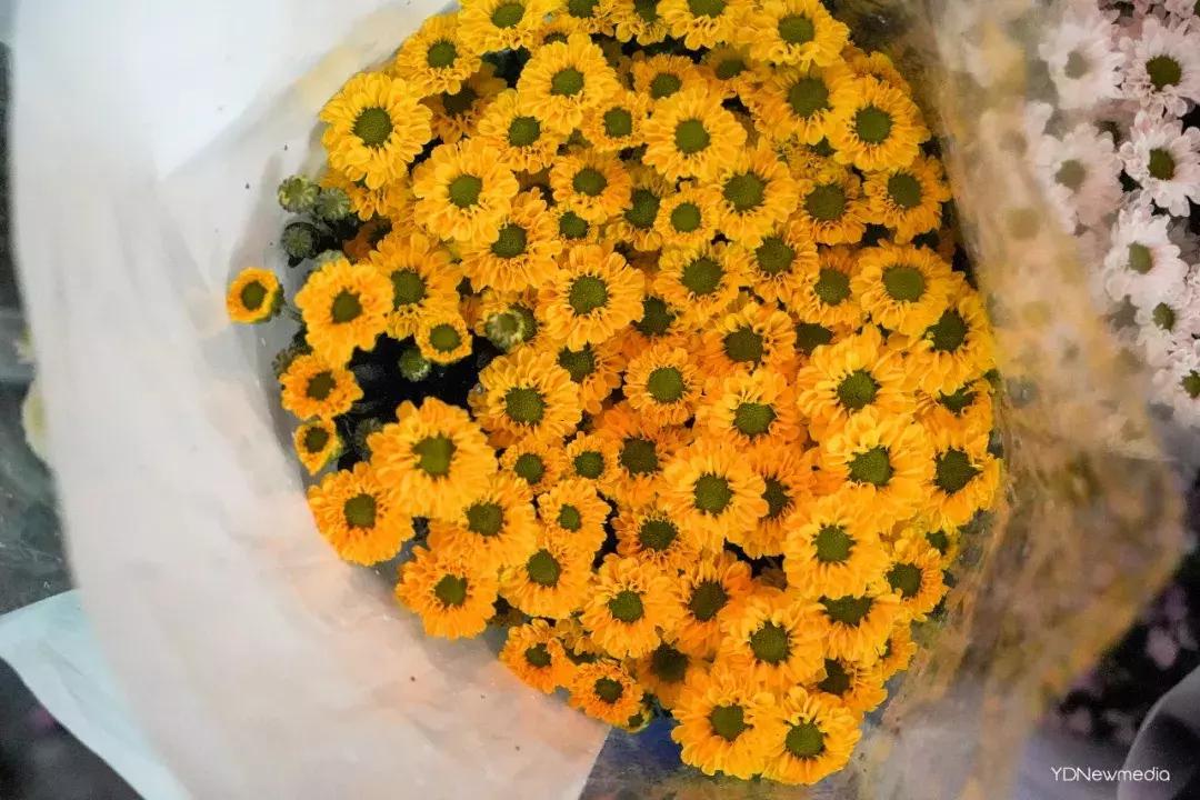 武汉哪个市场鲜花最便宜,武汉最便宜的鲜花批发市场