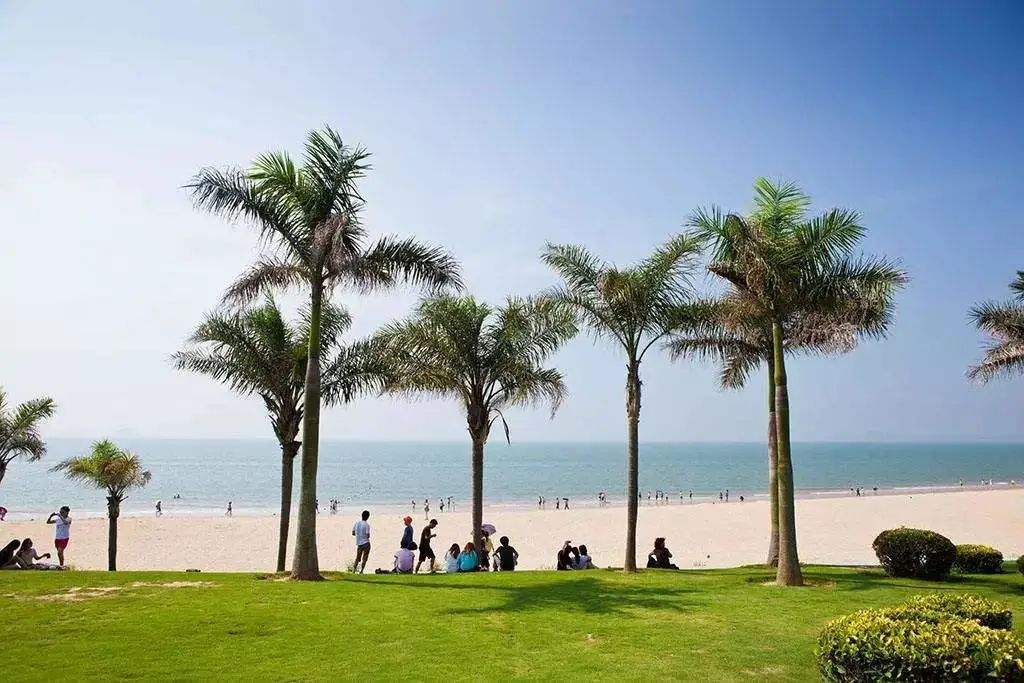 随心飞全国出行攻略,随心飞最佳攻略