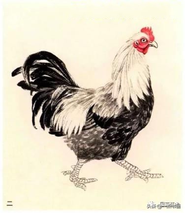 鸡的写意画法,小写意鸡的画法大全